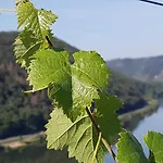 Hotel Winzerhof Gietzen *