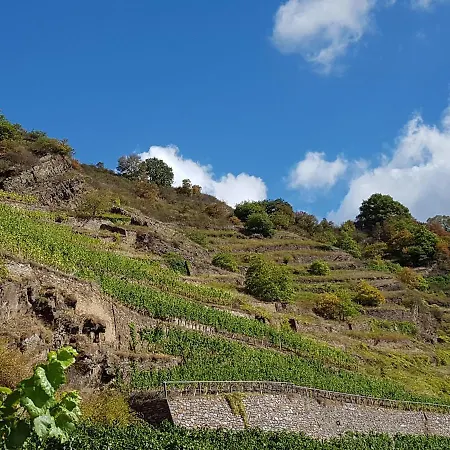 ホテル Winzerhof Gietzen Hatzenport