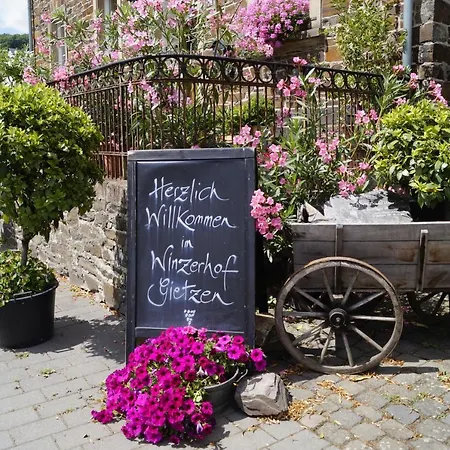 ホテル Winzerhof Gietzen *