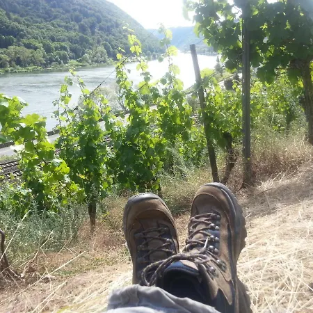 ホテル Winzerhof Gietzen