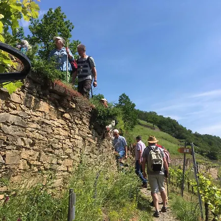 ホテル Winzerhof Gietzen