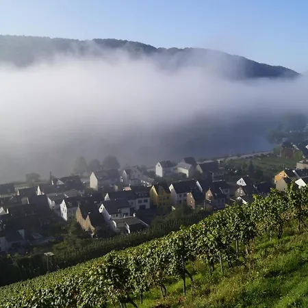 Winzerhof Gietzen ホテル *