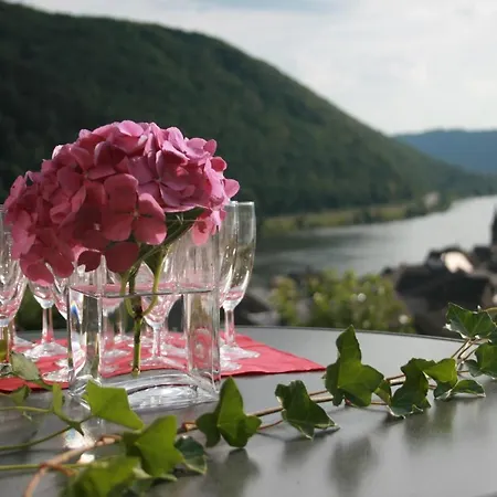 Hotel Winzerhof Gietzen *