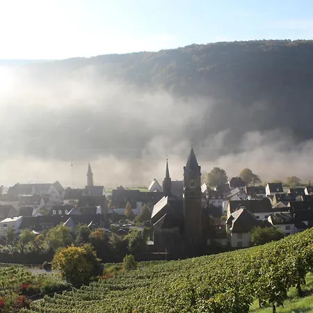 Winzerhof Gietzen ホテル