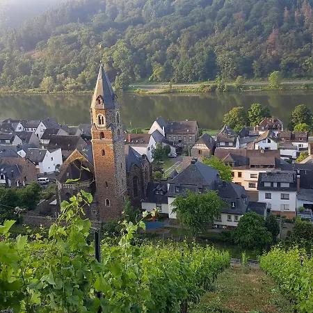 ホテル Winzerhof Gietzen *