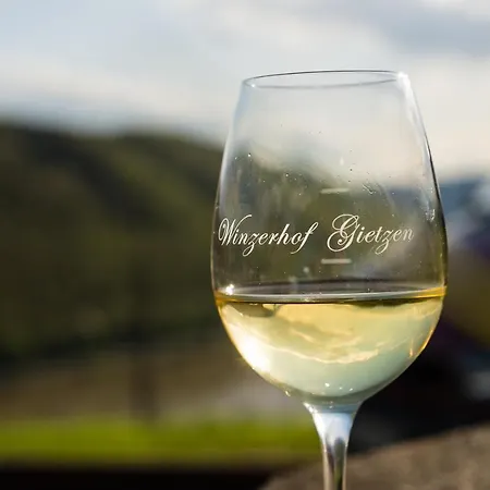 Winzerhof Gietzen Hotel