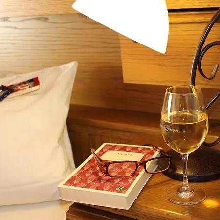 Hotell Winzerhof Gietzen