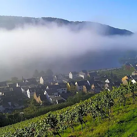 Hotel Winzerhof Gietzen
