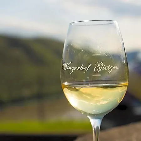 Winzerhof Gietzen Hotel