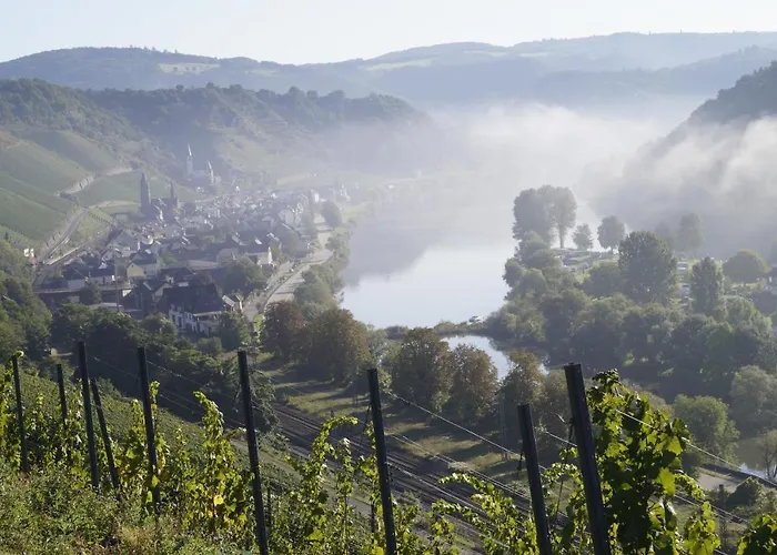 Winzerhof Gietzen 호텔 *