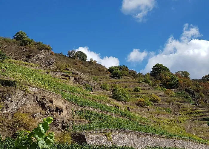 호텔 Winzerhof Gietzen Hatzenport