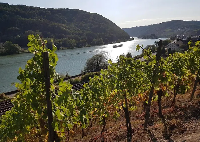 Winzerhof Gietzen * Hatzenport