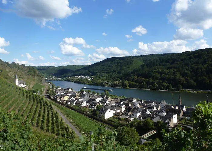 Winzerhof Gietzen 호텔