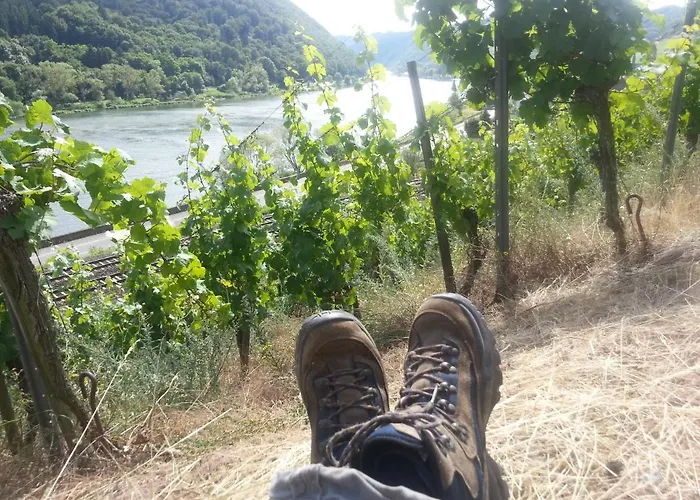 호텔 Winzerhof Gietzen