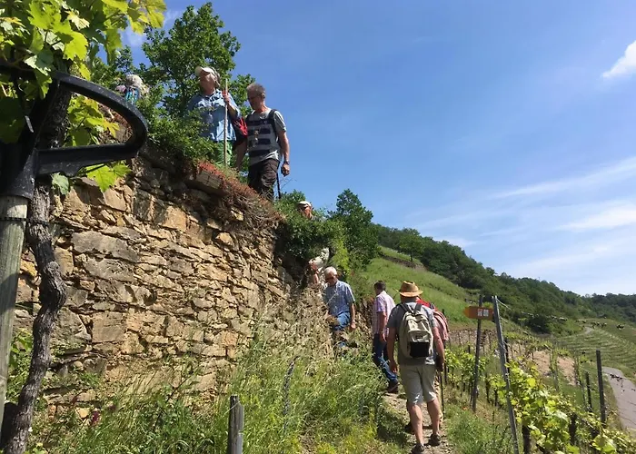 호텔 Winzerhof Gietzen