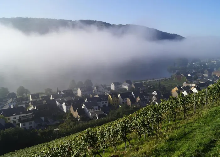 Winzerhof Gietzen 호텔 *