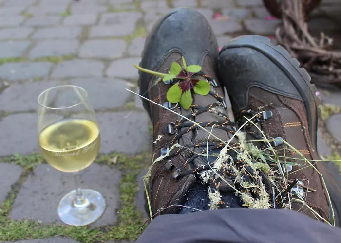 Winzerhof Gietzen * Hatzenport