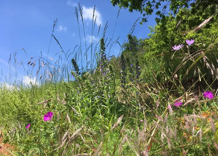 Winzerhof Gietzen 호텔 *