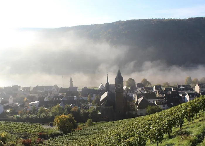 Winzerhof Gietzen 호텔