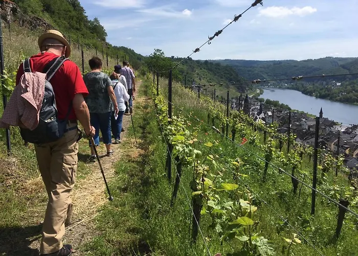 Winzerhof Gietzen 호텔 Hatzenport