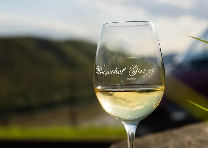 Winzerhof Gietzen 호텔