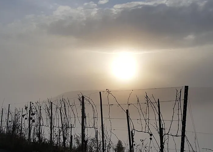 호텔 Winzerhof Gietzen